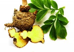 Glucomannan supplement Oscar Helm HappyHealthy